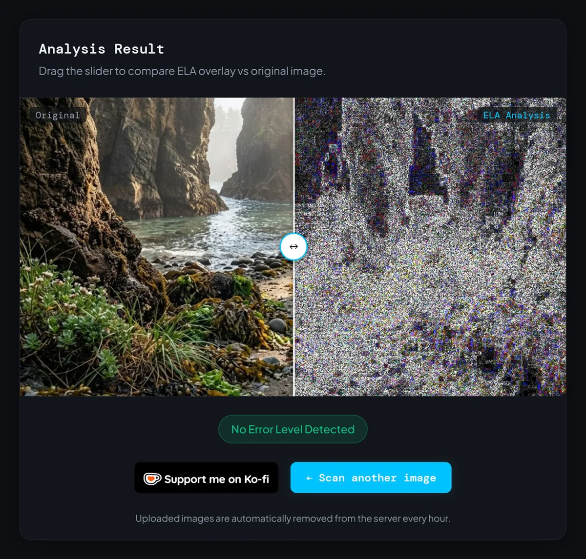 ELA scan of an AI-generated sea cove image returning a green "No Error Level Detected" result