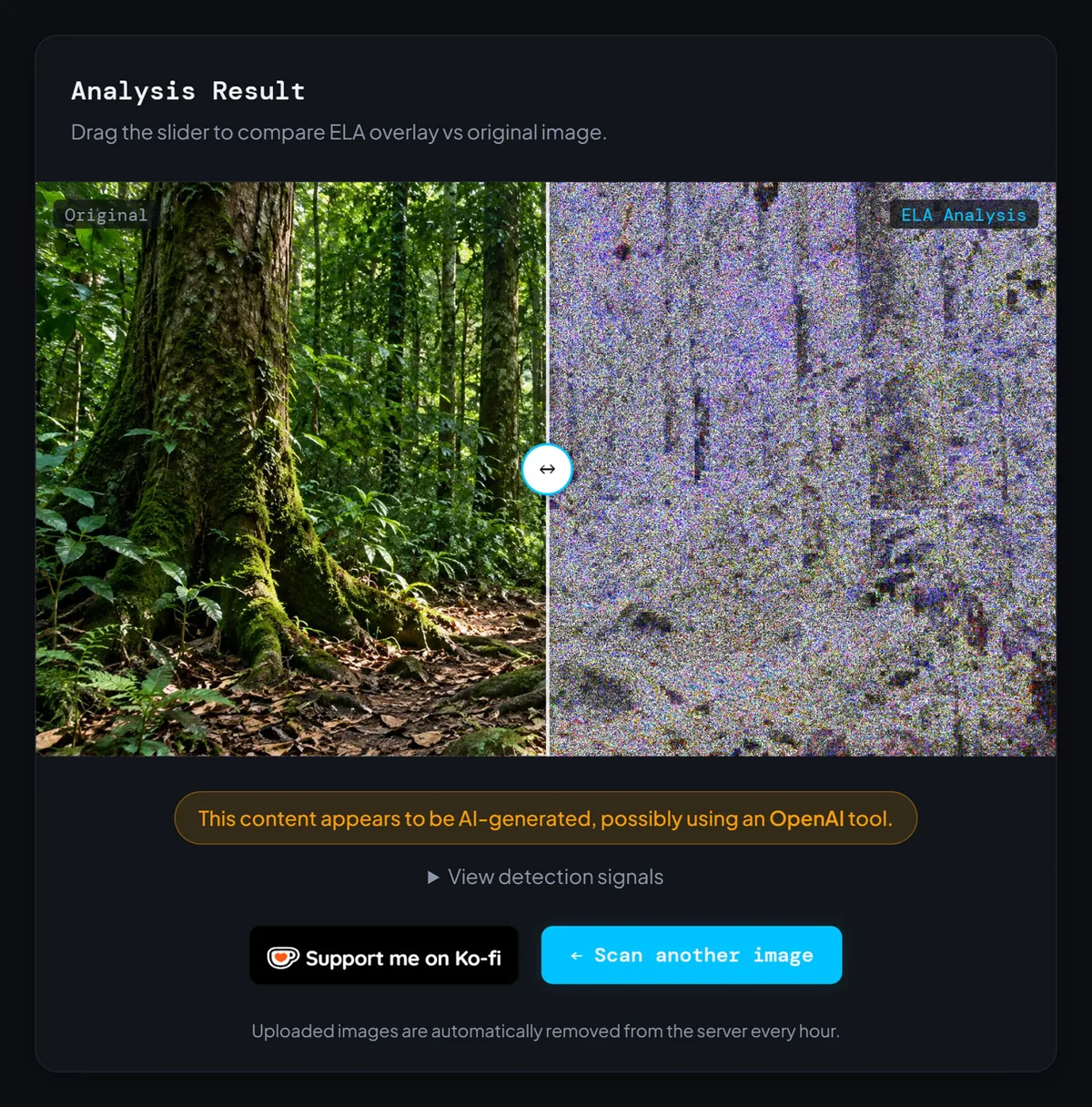 ELA scan of an AI-generated forest image, flagged as possibly made with an OpenAI tool